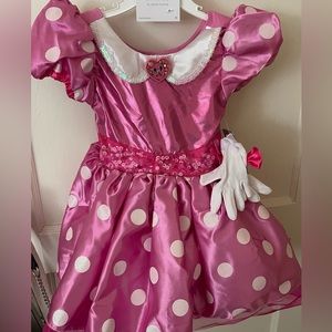 Disney Minnie Dress